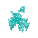 Cell shape: prometaphase